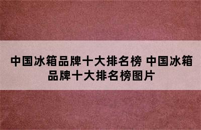 中国冰箱品牌十大排名榜 中国冰箱品牌十大排名榜图片